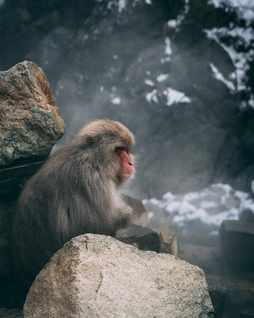 I really wanna know what he was thinking