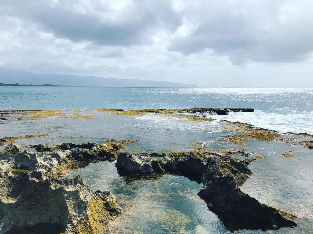 “If you were born without wings, do nothing to prevent them from growing.”