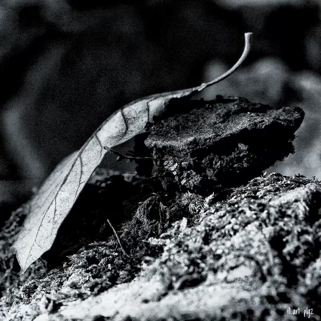 #fotartplgz #bnesimppl #traveldestinations_ig Edited with: @carbonblackandwhite _ #weather #skylovers #natureporn #amazing #skypainters #gf_daily #light&hellip;