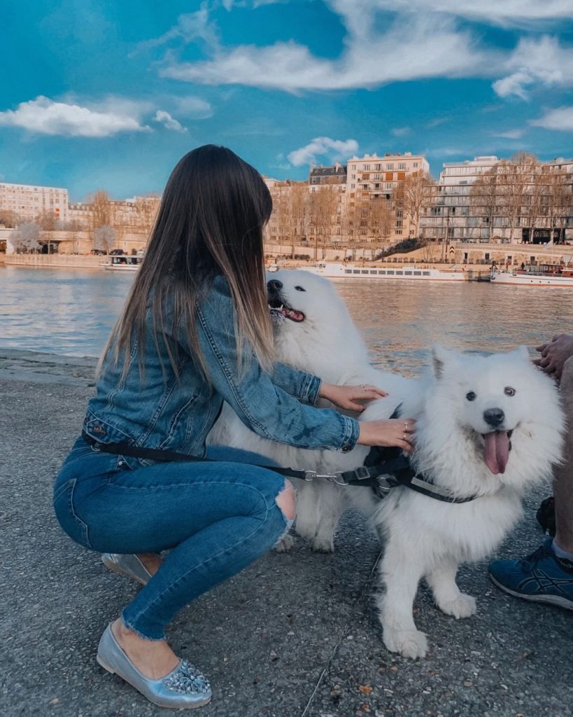 Fluffy friends ???? ________________________________________________________⠀⠀⠀⠀⠀⠀⠀⠀⠀ ???????? || #from #paris #with #love ️________________________________________________________⠀⠀⠀⠀⠀⠀⠀⠀⠀ ???? #mondaysdontsuckyourlifedoes ⠀⠀⠀⠀⠀⠀⠀⠀⠀&hellip;