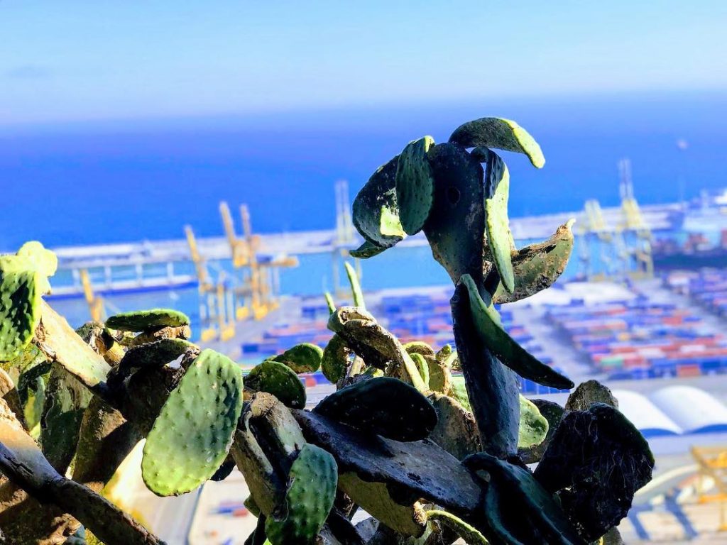 Montjuich . . . Califica la fotografia con un emoji ???? . bewerte dieses&hellip;