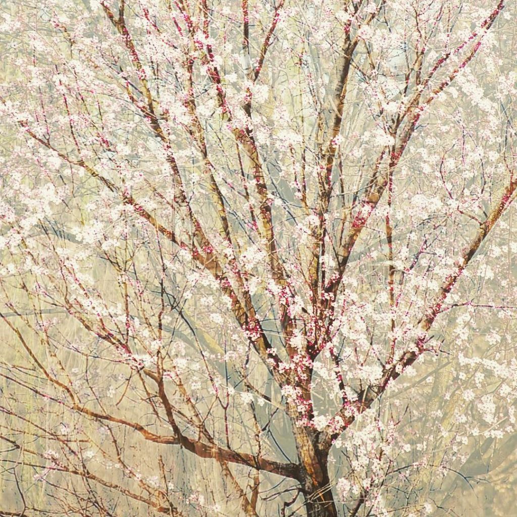 Y cuando vuelva la calma, que nos encuentre con las pilas cargadas y con&hellip;