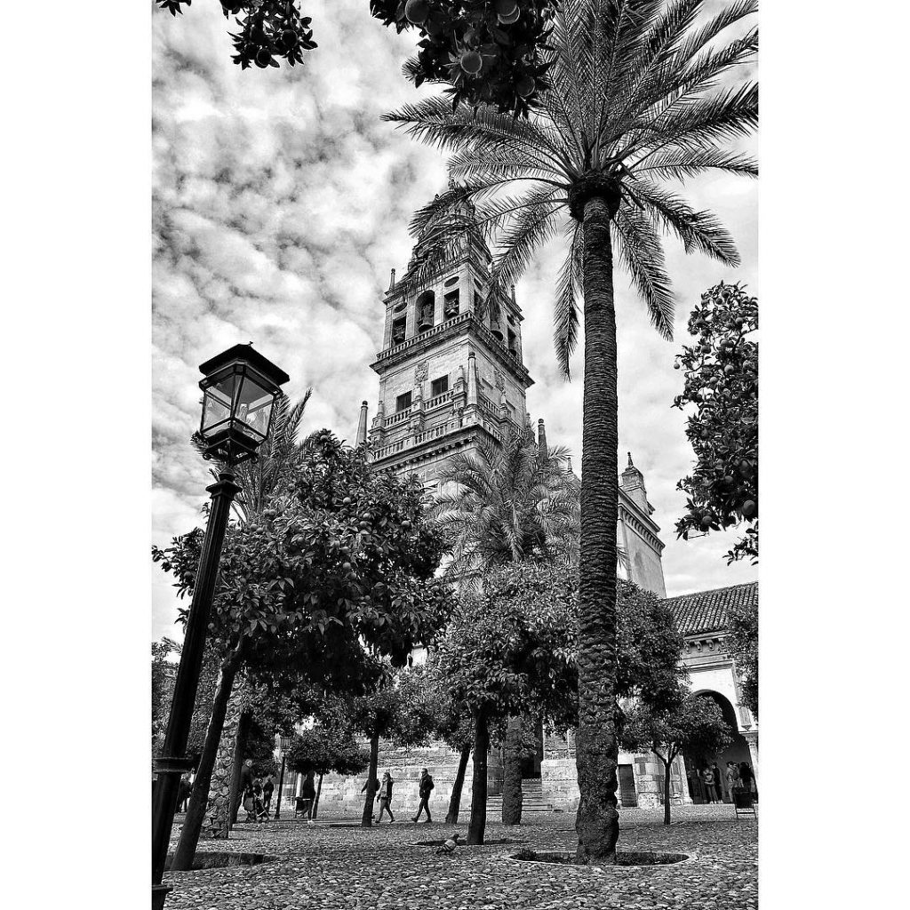 ????????????????????????????????-???????????????????????????????? ???????? ???????????????????????????? • • • • #spain #cordoba #photooftheday #travelgram #travelphotography #photography #architecture&hellip;