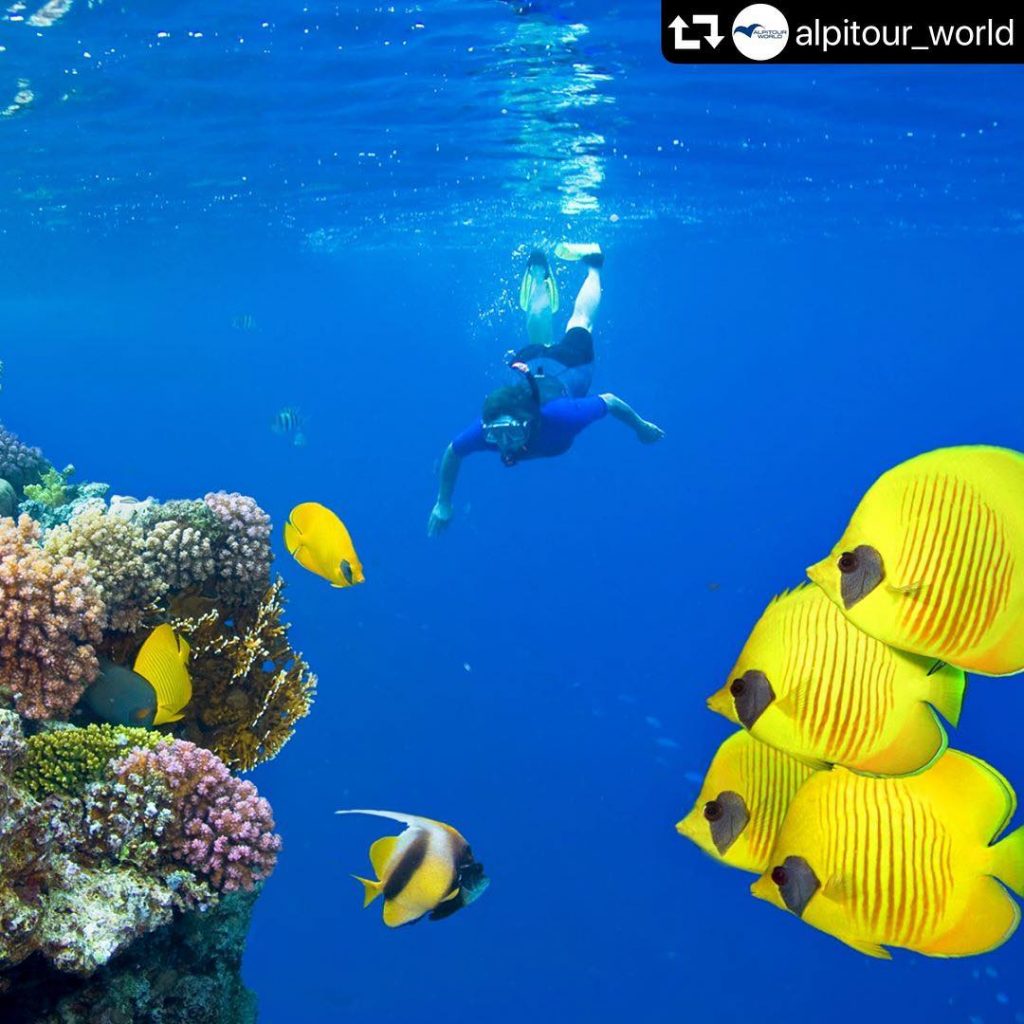 #Alpibest Jaz Solaya, situato in una suggestiva baia a breve distanza dall’aeroporto, caratterizzato da&hellip;