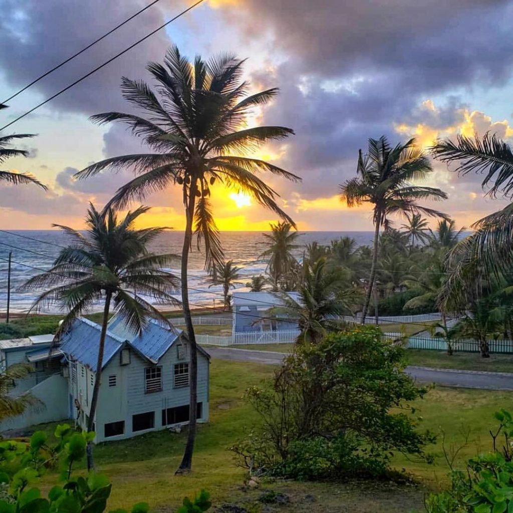 ???????? @barbados island *⋆ ‍️O????????’???? ???????????????????????????????????????? ???????? ???????????????????? ???? ????????????????????, ???????????? ???? ???????????? ????????????…