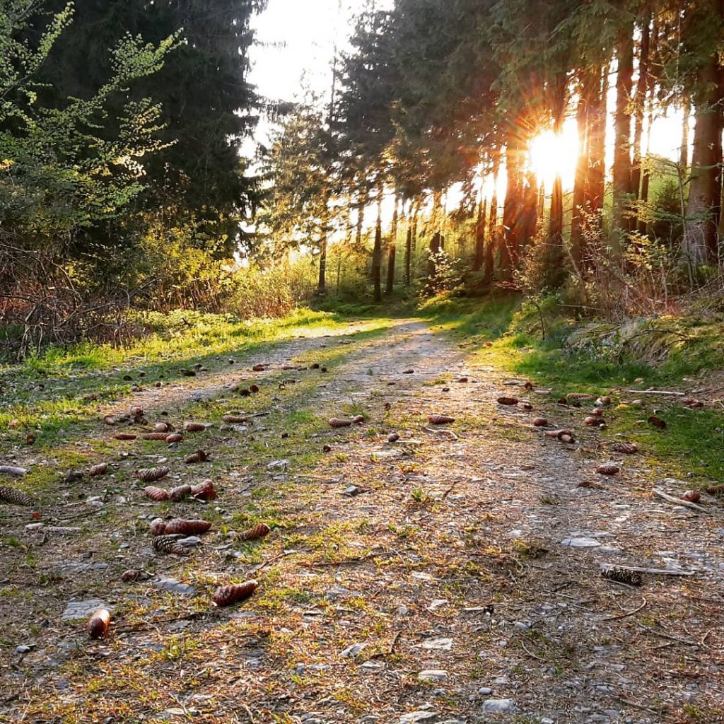 find your own way . . . . . #instagood #photooftheday #photooftheweek #inspiration #blessed&hellip;