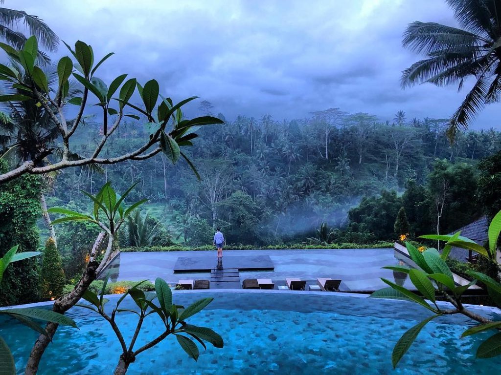 Jungle vibes ⭕️???????? ???????????????? ???????? ???? ???????????????????????????????????? ???????????????????? ???????????????? ???????? ???????????????? ???????? ????????????????????????, ????????????????????&hellip;