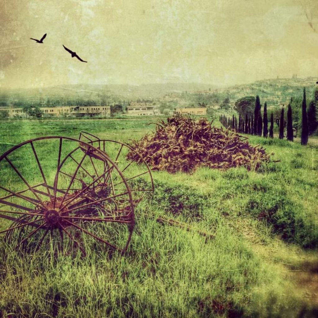 #fotartplgz #bnesimppl #traveldestinations_ig Edited with: @carbonblackandwhite _ #landscape #amazing #view #trip #tree #sky #mountains&hellip;