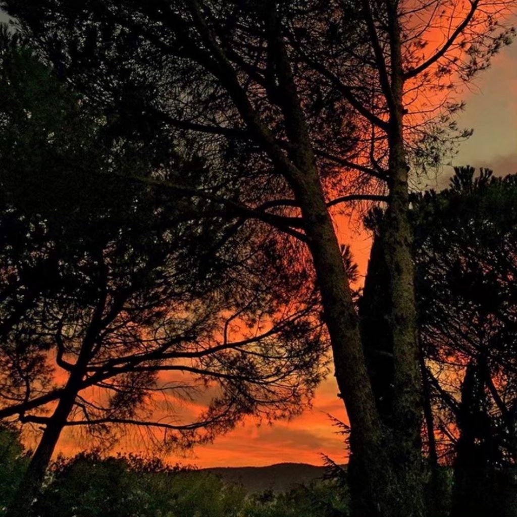 #fotartplgz #bnesimppl #traveldestinations_ig Edited with: @carbonblackandwhite _ #weather #skylovers #natureporn #amazing #skypainters #gf_daily #light&hellip;