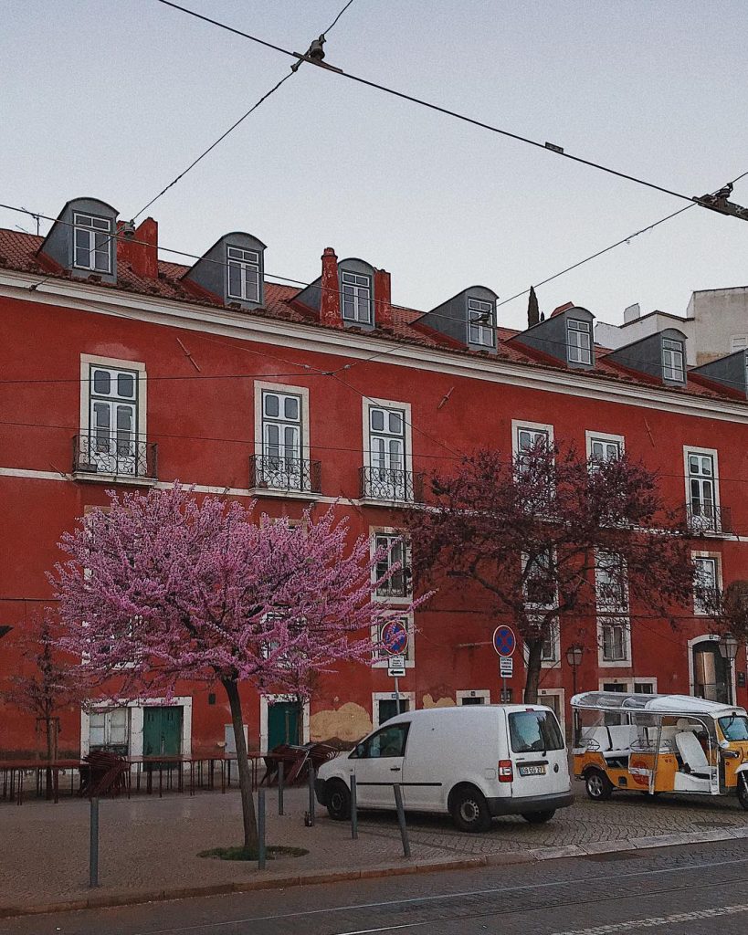 Так странно, что на улице уже светло и солнечно, и даже уже есть закаты,&hellip;