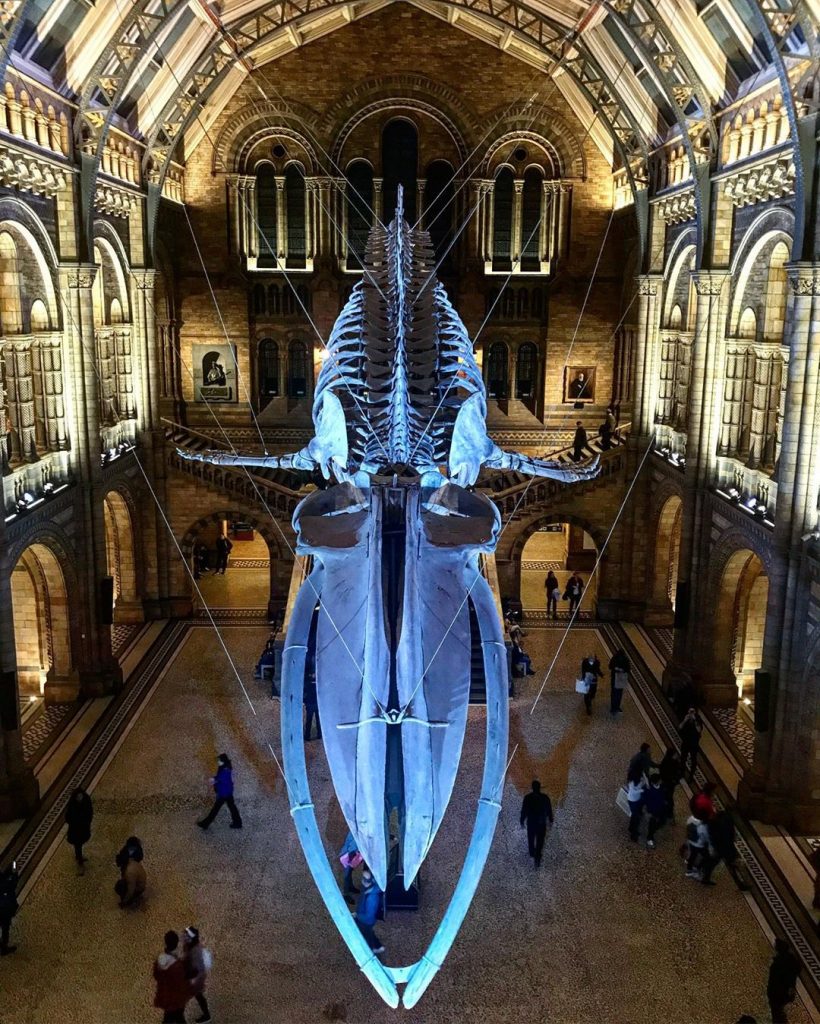 #england???????? #england #英國 #london #travel #backpackers #adventuretime #背包客 #igerslondon #iamtb #travelrepost #bnesimppl #londontravel #englandtravel&hellip;