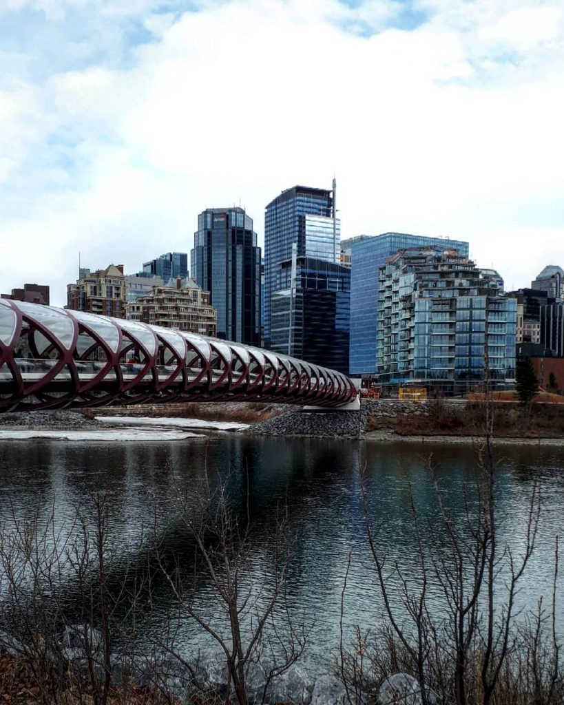 Check out downtown Calgary! . . . . . . #openmyworld #meanwhileincanada #meanwhileinalberta #travelblogger&hellip;