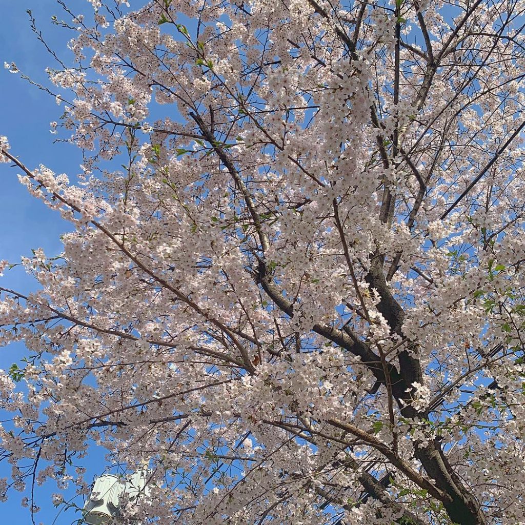 벌써 일주일 끝????