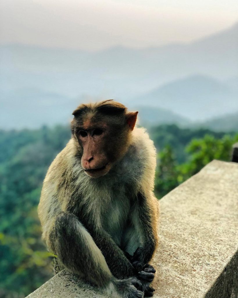 . . . #innocence #Travel #Traveling #Travelgram #TopLikeTags #Travelling #Travelingram #Traveler @TopLikeTags #Travelphotography&hellip;