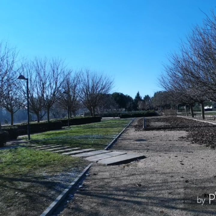 Valladolid, Castilla y León #travel #video #viajes #cultura #historia #travelgram #instagramers #discovereurope #bnesimppl #discoverychannel&hellip;