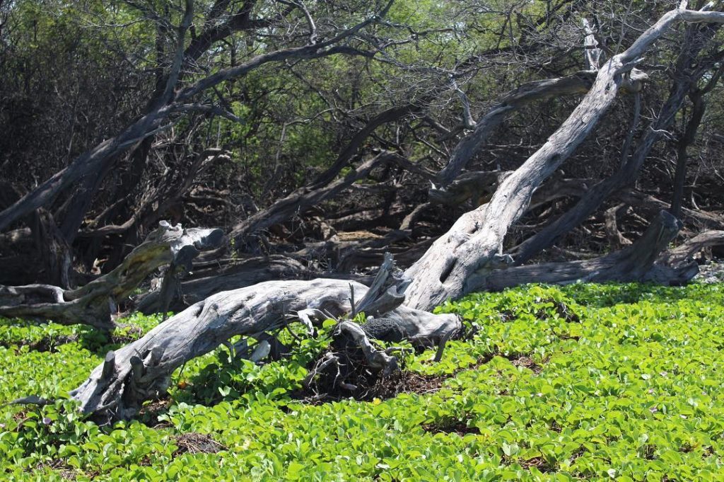 Find beauty in everything, because somethings don’t last forever