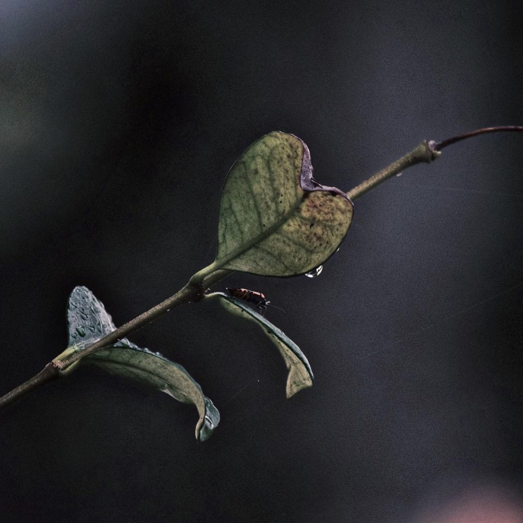 #fotartplgz #bnesimppl #traveldestinations_ig Edited with: @carbonblackandwhite _ #weather #skylovers #natureporn #amazing #skypainters #gf_daily #light&hellip;