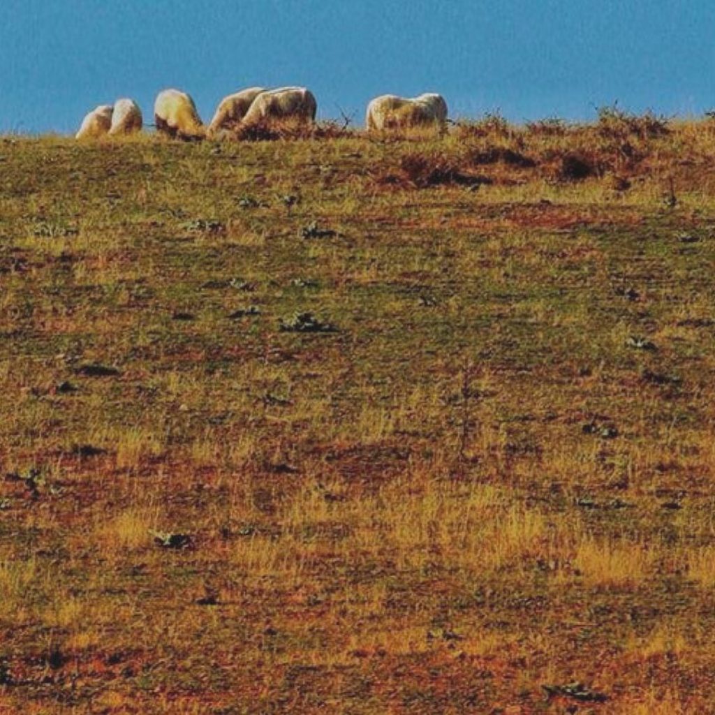 #fotartplgz #bnesimppl #traveldestinations_ig Edited with: @carbonblackandwhite _ #photo #photos #nikon #pics #picture #pictures #snapshot&hellip;