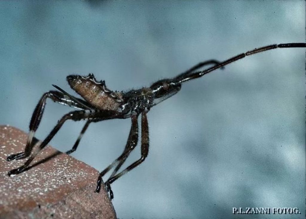 #fotartplgz #bnesimppl #traveldestinations_ig Edited with: @carbonblackandwhite _ #weather #skylovers #natureporn #amazing #skypainters #gf_daily #light&hellip;