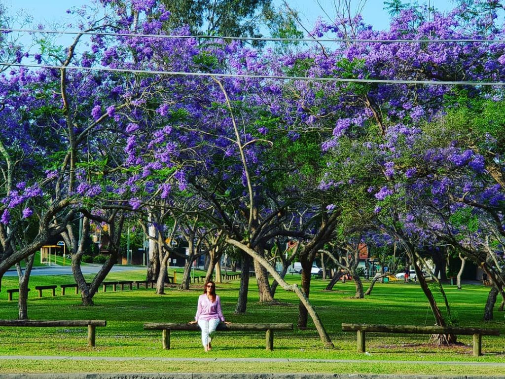 #jacarandatree #jacarandas #jacarandaseason #naturephotography #nature_good #naturelovers #natureisawsome #naturephotography #nature_good #natureisamazing #natureisawsome #bnesimppl #beautifuldestinations #visualart&hellip;