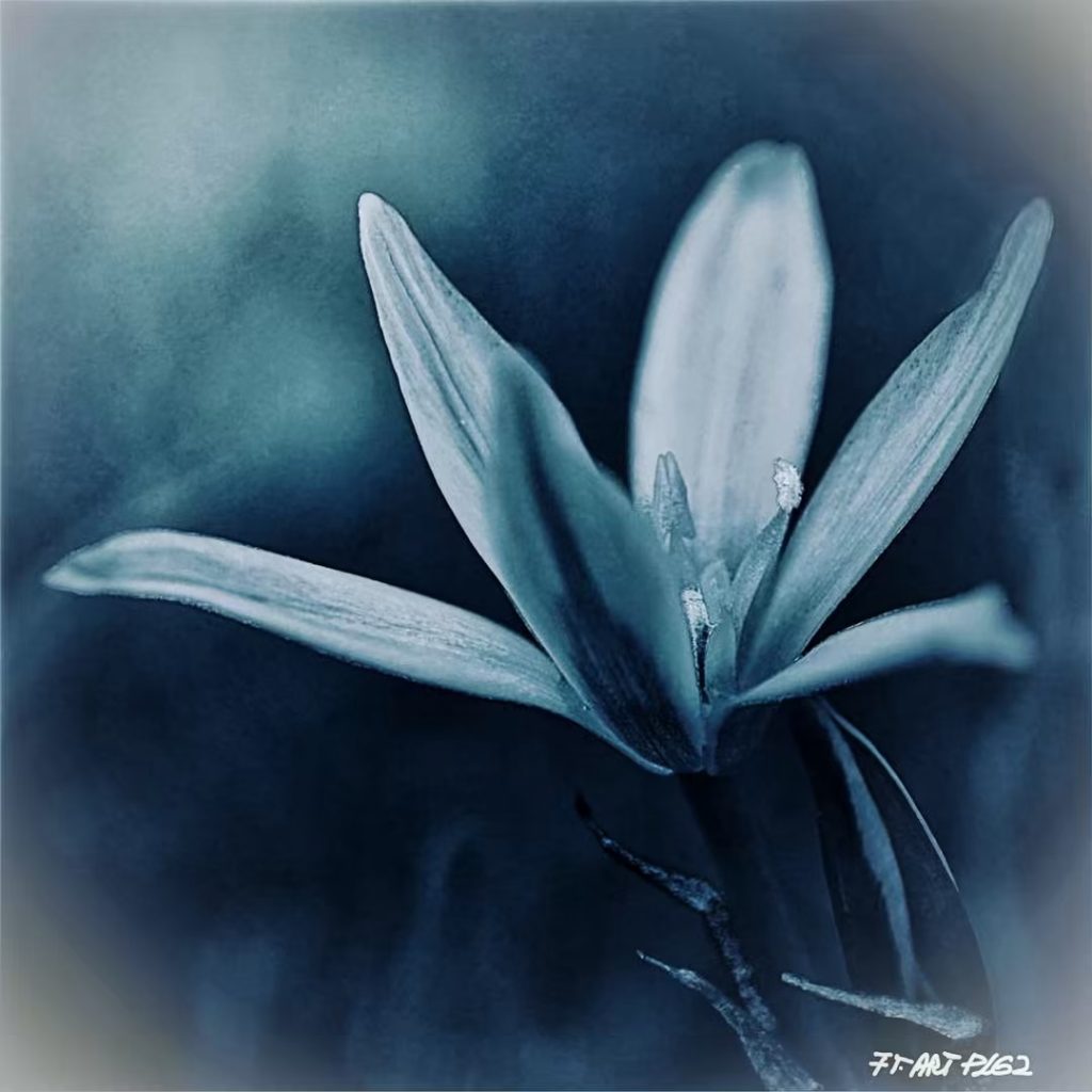 #fotartplgz #bnesimppl #traveldestinations_ig Edited with: @carbonblackandwhite _ #weather #skylovers #natureporn #amazing #skypainters #gf_daily #light&hellip;