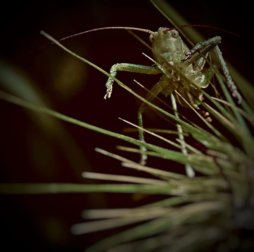 #fotartplgz #bnesimppl #traveldestinations_ig Edited with: @carbonblackandwhite _ #weather #skylovers #natureporn #amazing #skypainters #gf_daily #light&hellip;