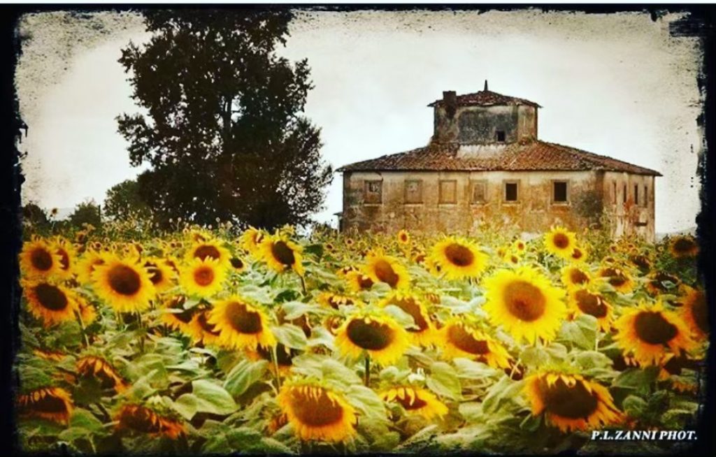 #fotartplgz #bnesimppl #traveldestinations_ig Edited with: @carbonblackandwhite _ #landscape #amazing #view #trip #tree #sky #mountains&hellip;