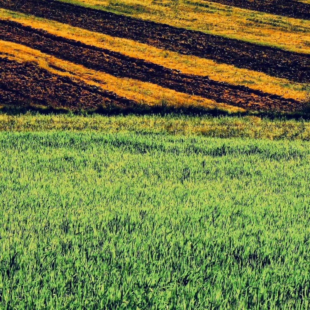 #fotartplgz #bnesimppl #traveldestinations_ig Edited with: @carbonblackandwhite _ #landscape #amazing #view #trip #tree #sky #mountains&hellip;