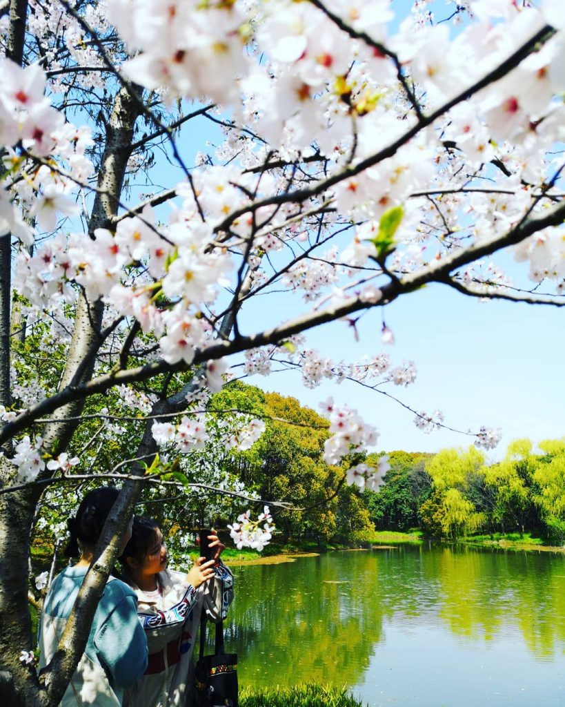 Beautiful day ️️️️️️️️️️ . . . #travels #traveldiary #igtravels #journey #instatravel #instalike #instasg #visualfinder&hellip;