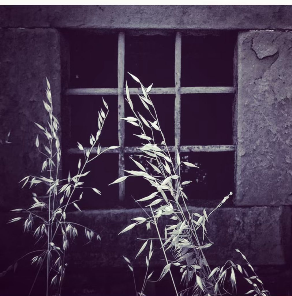 #particolari #fotartplgz #bnesimppl #traveldestinations_ig Edited with: @carbonblackandwhite _ #photo #photos #nikon #pics #picture #pictures&hellip;