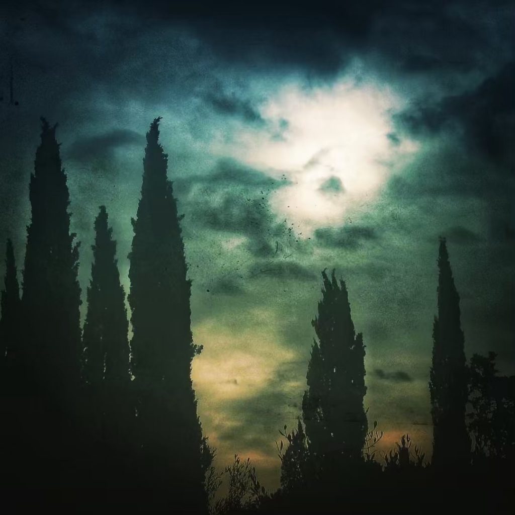 #fotartplgz #bnesimppl #traveldestinations_ig Edited with: @carbonblackandwhite _ #photo #photos #nikon #pics #picture #pictures #snapshot&hellip;