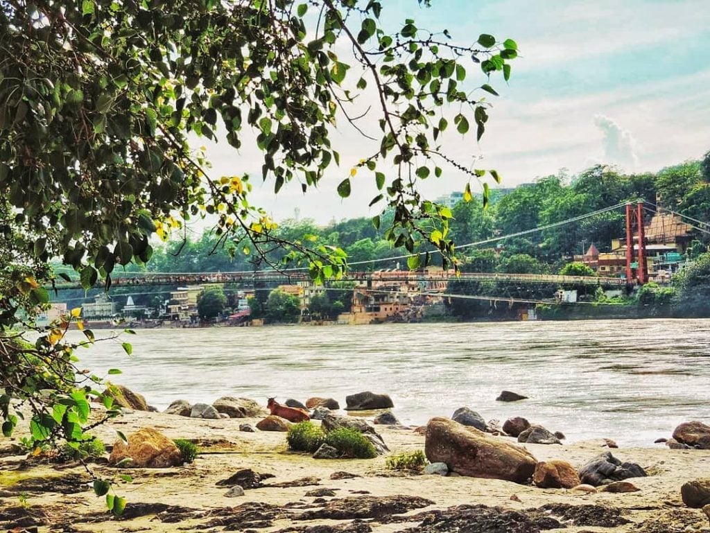 #ganga #riverganga #river #bridge #riverbridge #lakshmanjhula #uttarakhand #rishikesh #india #indiatravel #travel #travelindia #coi #shutterbugs…