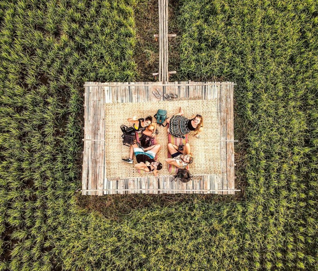 Four friends on a platform surrounded by luscious green how could it not be…