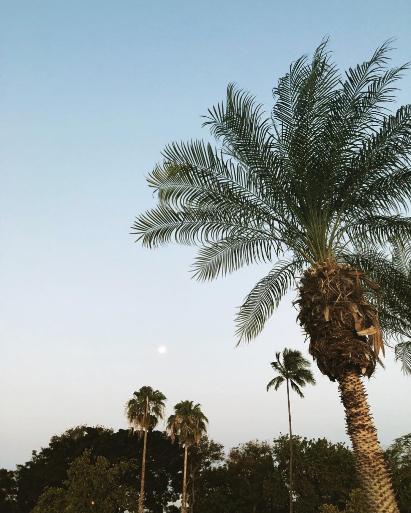 I wish the moonrise was more convenient out here in Hawaii