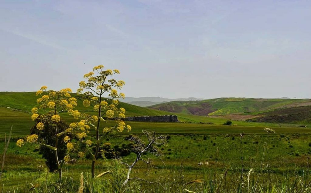 La primavera – – – – #italia???????? #aboutatravel #sicily #ig_sicily #travelmood #travelphotography #igrs #travelpic&hellip;