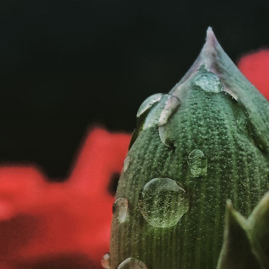 #fotartplgz #dettagli #bnesimppl #traveldestinations_ig Edited with: @carbonblackandwhite _ #weather #skylovers #natureporn #amazing #skypainters #gf_daily&hellip;