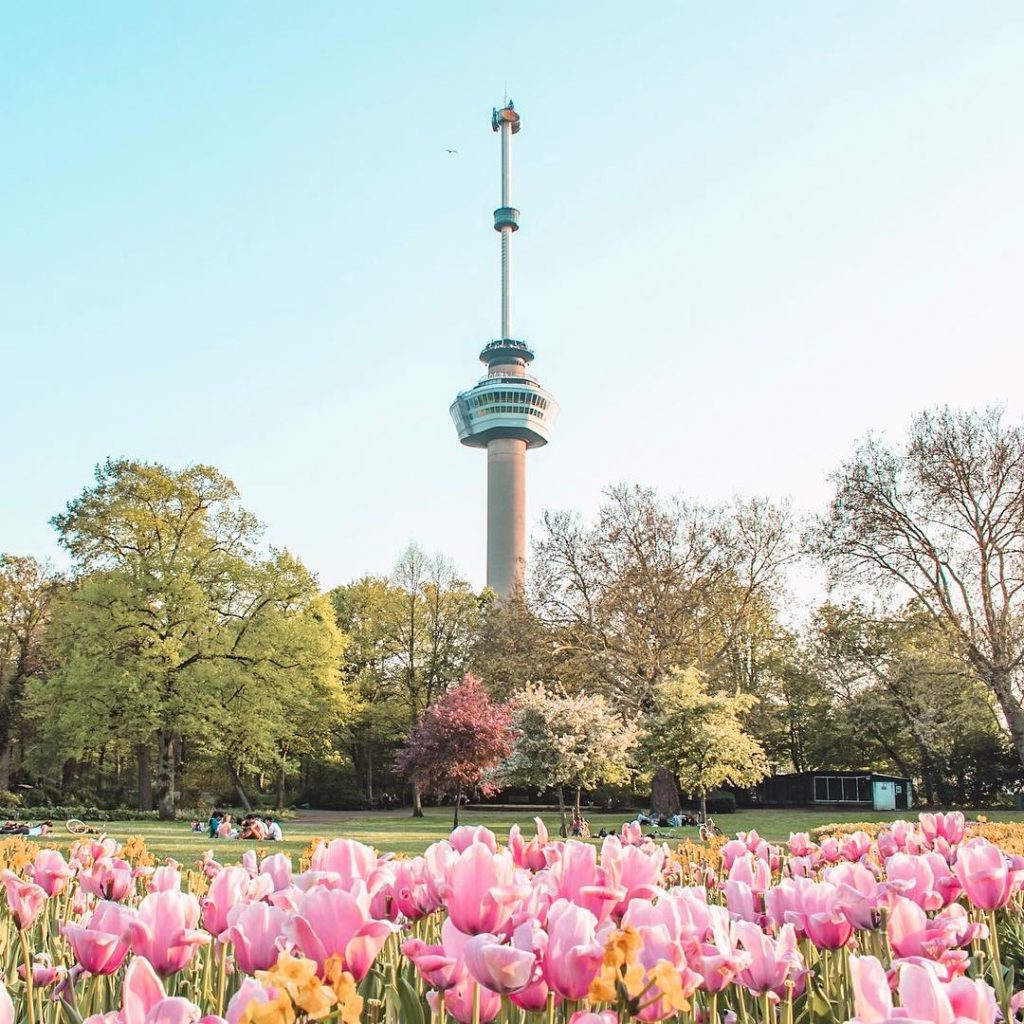 If you love pink as much as I do, then visiting ‘Het Park’ in…