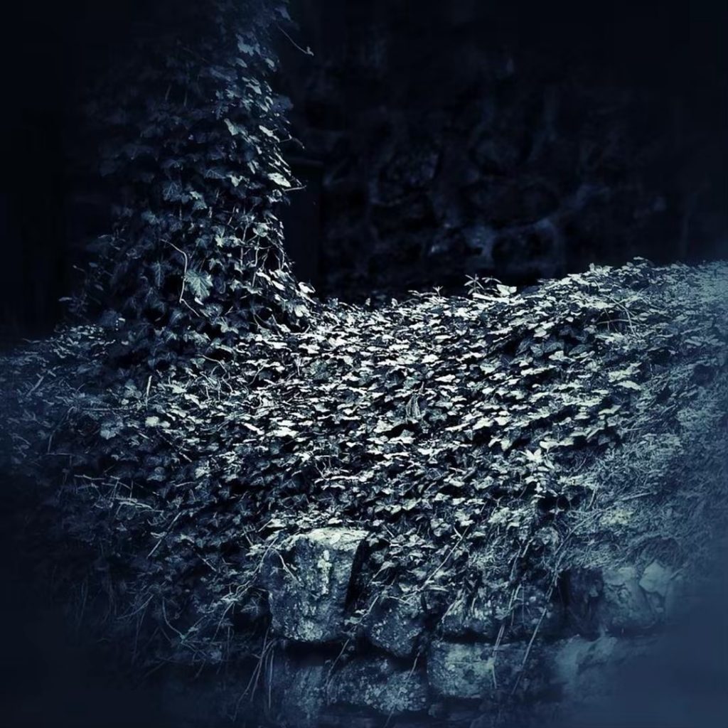 #fotartplgz #bnesimppl #traveldestinations_ig Edited with: @carbonblackandwhite _ #weather #skylovers #natureporn #amazing #skypainters #gf_daily #light&hellip;