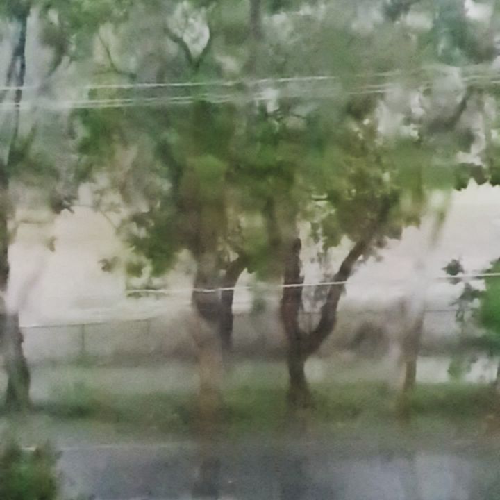 #rainyday #rainydays #rain #naturephotography #naturelovers #natureisawsome #naturephotographer #livestrong #liveandletlive #videography #videostar #videos #lovethisweather #beautiful&hellip;