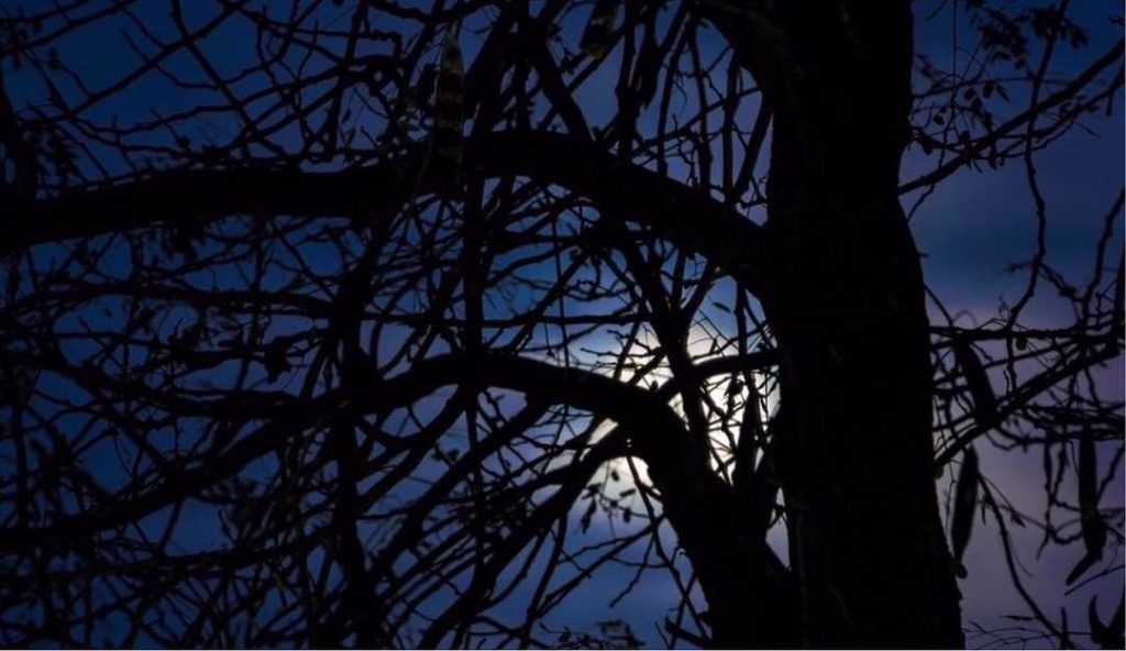 Don’t tell me the moon is shining; show me the glint of light on&hellip;