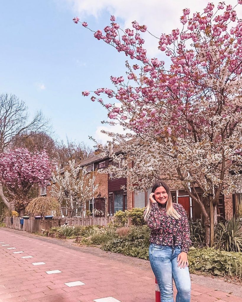 You know you’re in The Netherlands when you see bicycle lanes, windmills and everyone&hellip;