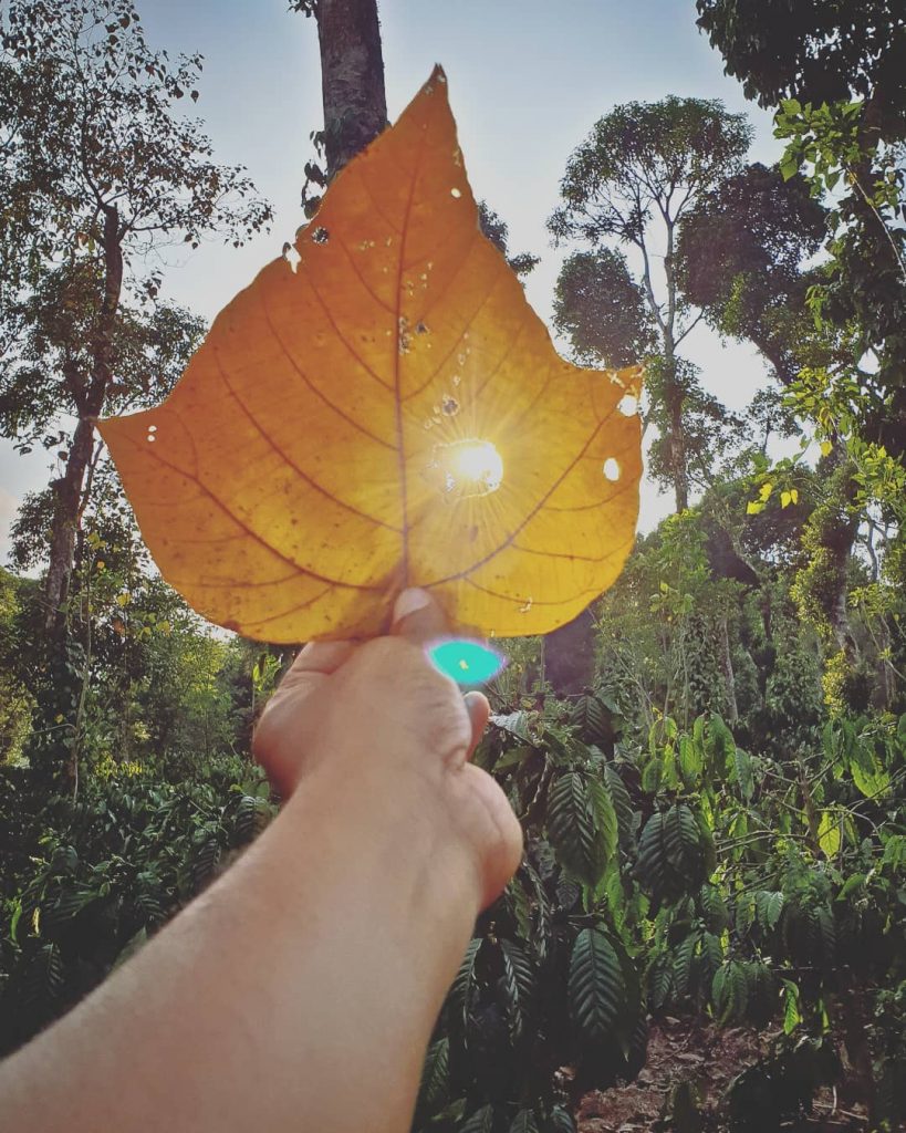 Happy morning! #ksutravelstories #samsung #samsungs9 #samsunggalaxys9 #indianphotography #india_ig #_coi #photographers_of_india #mobile_photography_ #mobilephotography #karnatakatourism #picthebetterindia&hellip;
