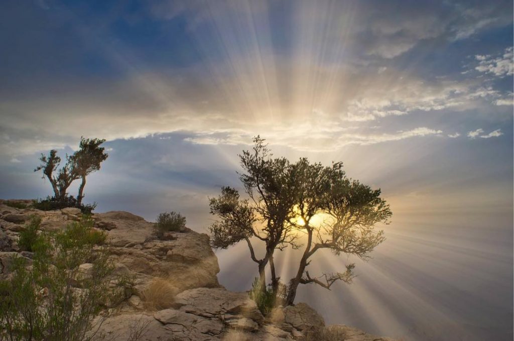 A Ray of Hope …. . A person requires support from his family, friends&hellip;