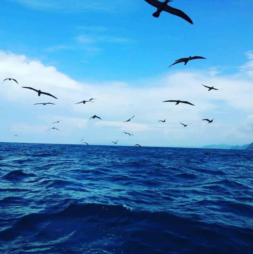 Y tu cielo es aquí más hermoso  y el mar azuloso me invita a…