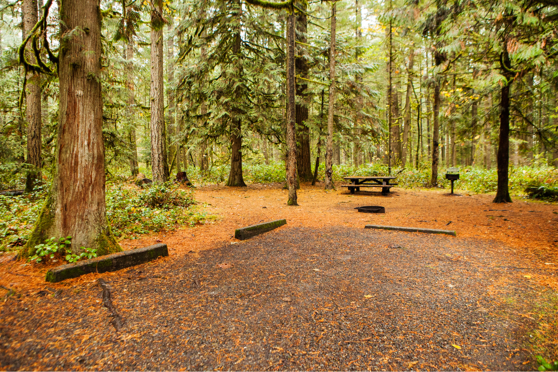 campsites with nature activities