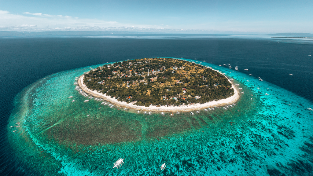 Balicasag Island/island hopping philippines