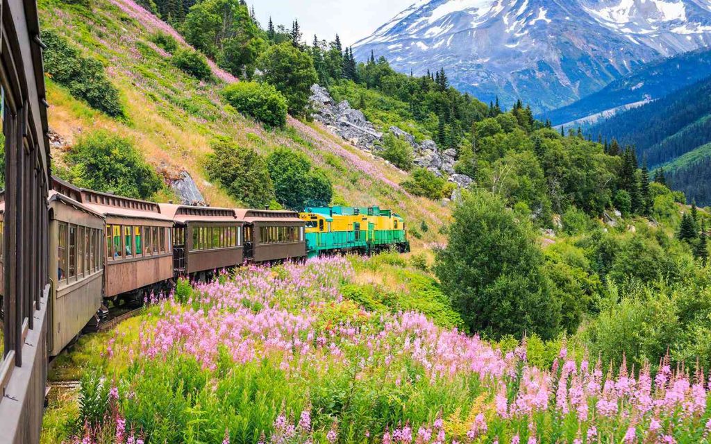 train travel and eSIMs
