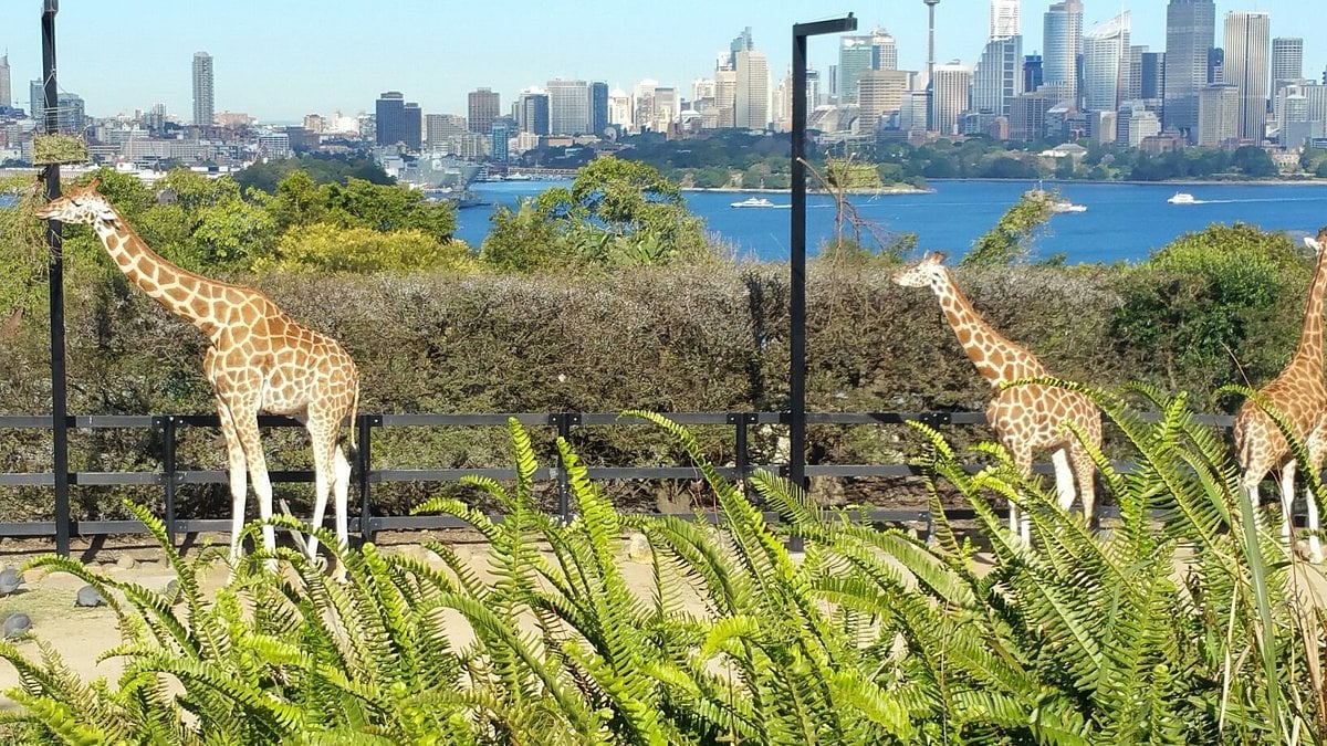 Taronga Zoo