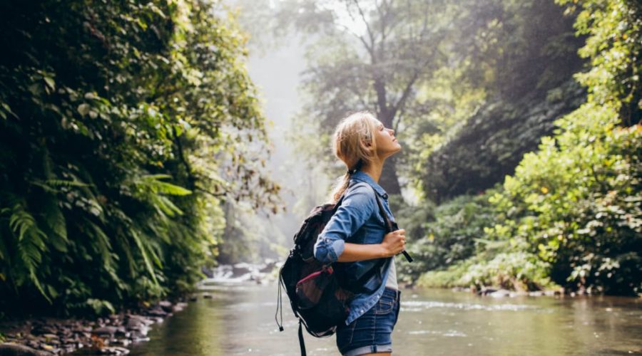 Eco-Friendly Travel Trends