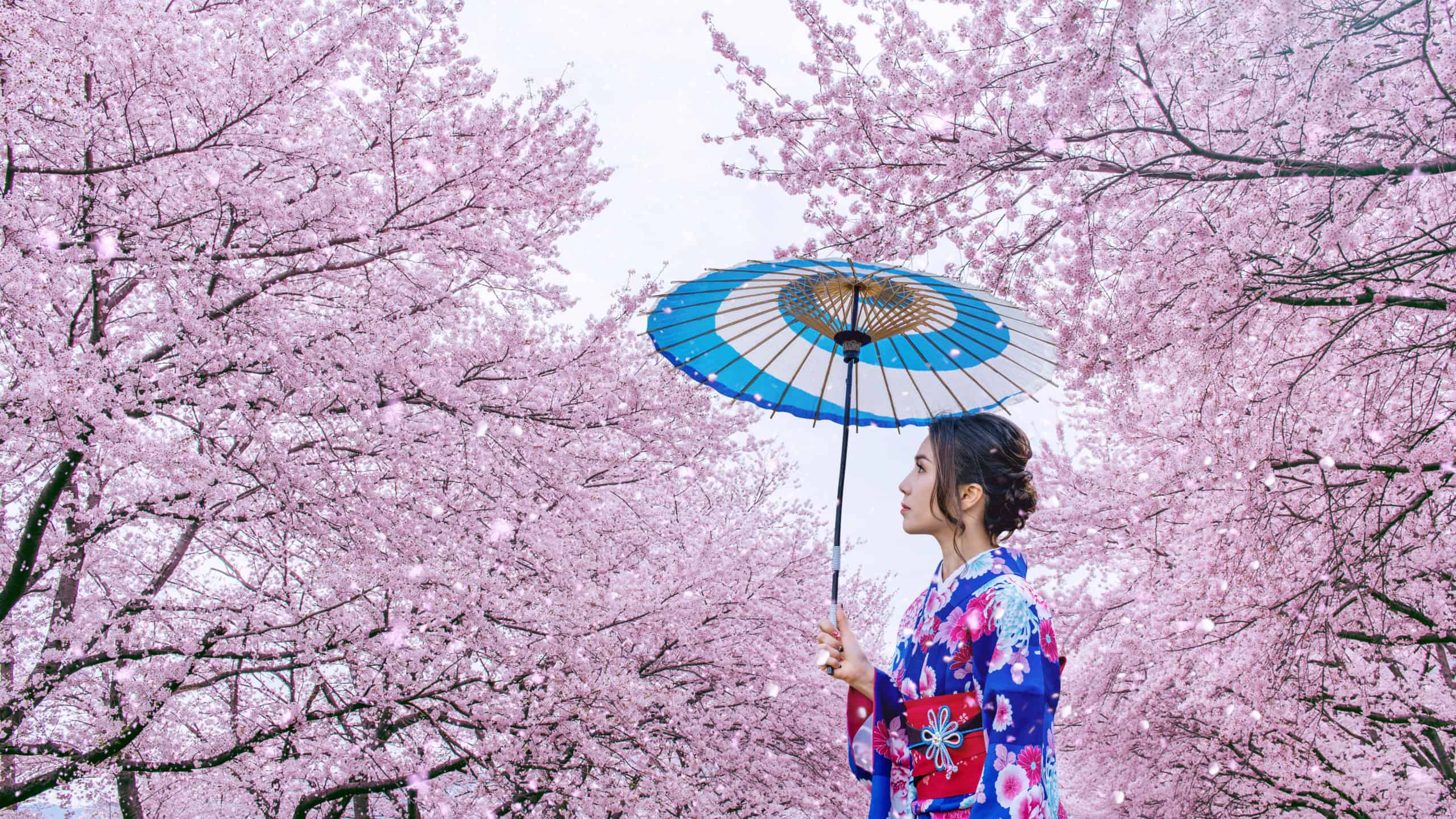 Tokyo's Traditional Culture